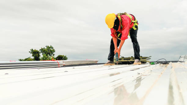 Best Roof Maintenance and Cleaning  in Charlotte, TX