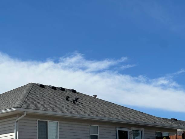 Best Roof Ventilation Installation  in Charlotte, TX